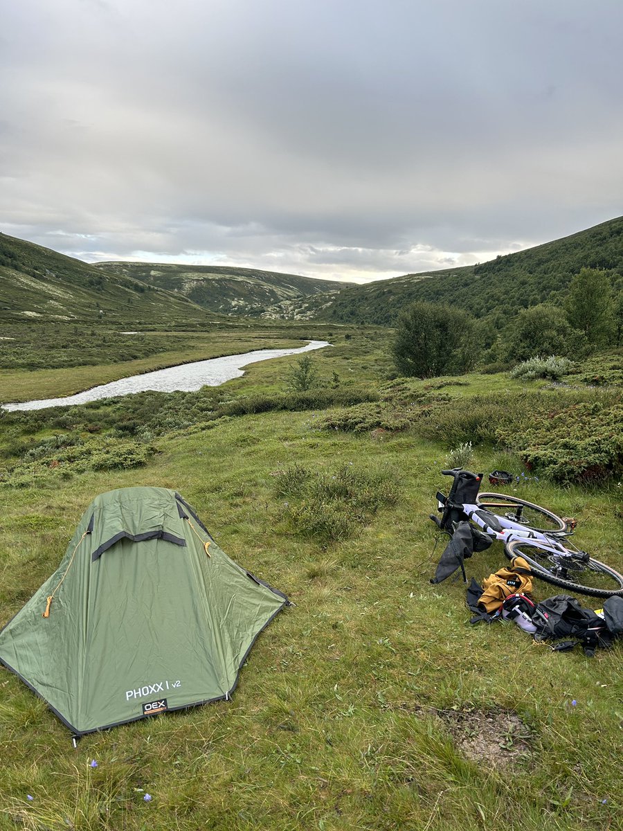 Amy Kilpin tweet media