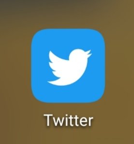 fluuwu tweet media