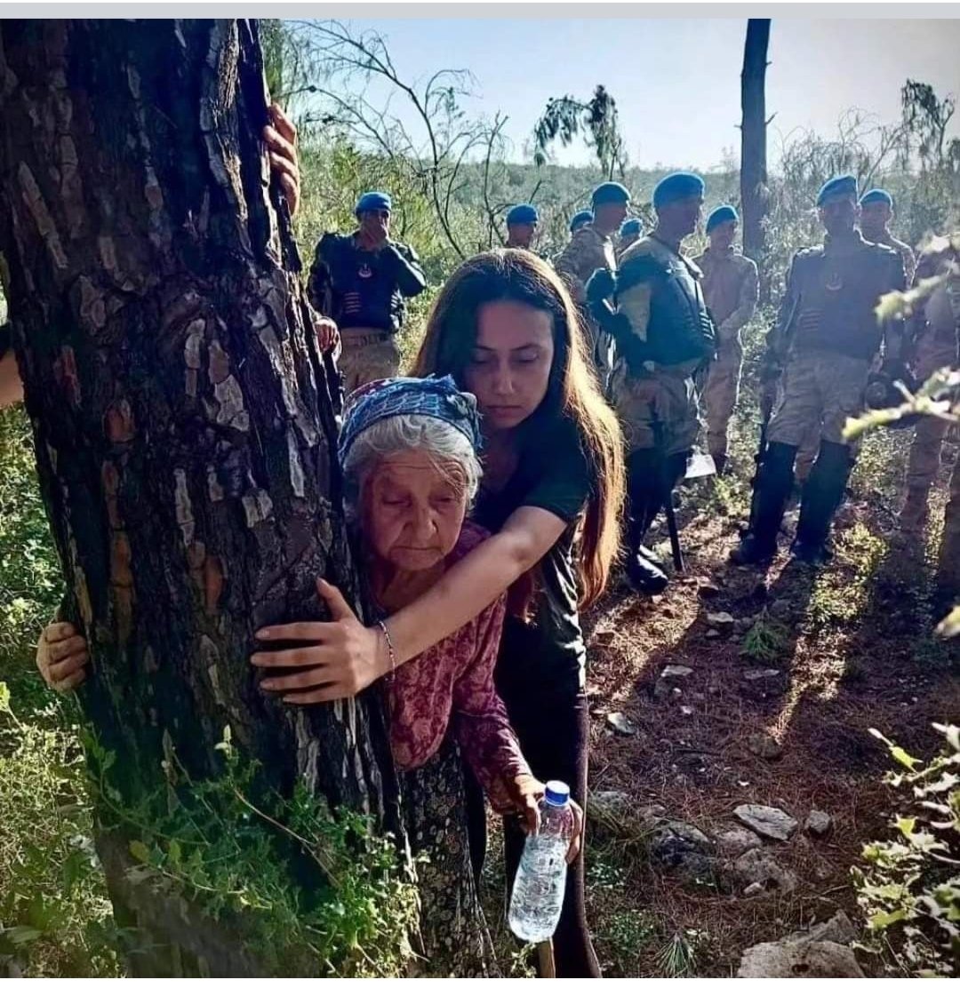 erhankose's tweet photo. #AkbelenDirenişi #HeyBarcaStopLimakSaveNature #FCBarcelona #StopLimak #SaveNature #forestdestruction #stopforestdestruction #akbelenedokunma #akbelenormanınıvermeyeceğiz https://t.co/3koOgKBOBy