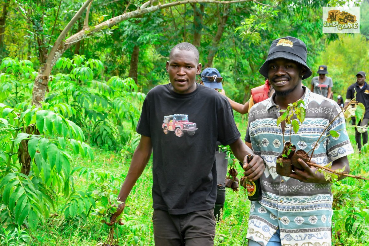 Every tree planted is a seed of hope. Hope that indeed our universe has a chance of survival.  We take pride in efforts, with our partners to restore Mt Elgon .  Be part of this effort, vist jumbocharge.co.ke 
<a href="/charles_mulupi/">charles mulupi</a> <a href="/malomba1/">Eng. Mike Malomba</a> <a href="/WilsonMunene19/">Wilson Munene</a> <a href="/Environment_Ke/">Ministry of Environment, Climate Change & Forestry</a>