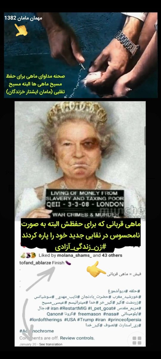 mehriirann's tweet photo. @AlNakh18 @Tales_of_Iran سگ بریتانیا 😂🤣 تخم آنگلوساکسونی های کون نشور نجسِ عن در کون چسبیده دزد دریایی یک چشم حاصل لواط رنگینکمانی مار پرست 🤡😊 https://t.co/Dg5ImabFUD