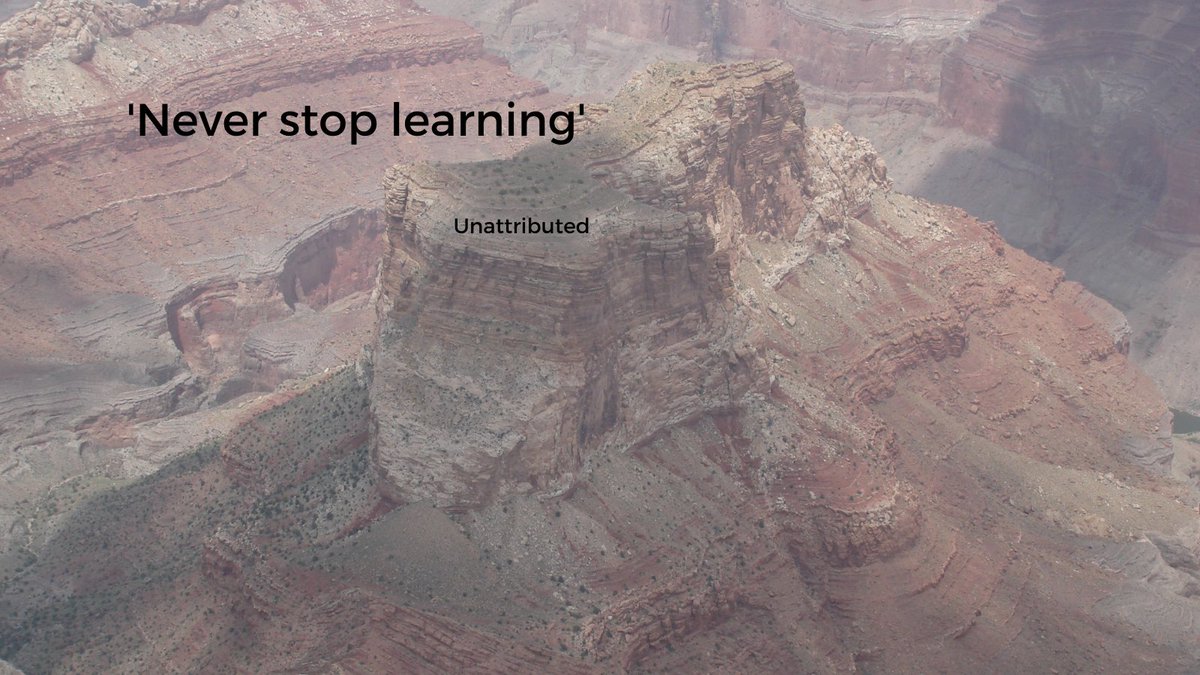 This quote says it all. We are always learning. Sometimes we don't 'listen' to what we have learned but that doesn't make it any less true. What have you learned today? What did you learn yesterday that you could apply today? #businessowners #success #businesstips
