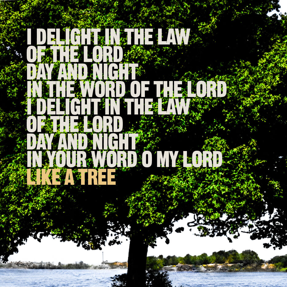MakeWayMusic's tweet photo. New song LIKE A TREE (feat. Steph Macleod) is available on Spotify and all usual streaming platforms:
https://t.co/dZ8p1IdVSh...
Lyric Video: https://t.co/xzpJRs81Xt
Song Lyrics and Sheet Music: https://t.co/eKw7m7GPyj
#likeatree #psalms #worship #grahamkendrick https://t.co/zx7ecHRqmM