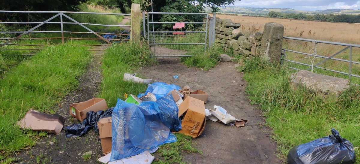 Conor Mayling tweet media