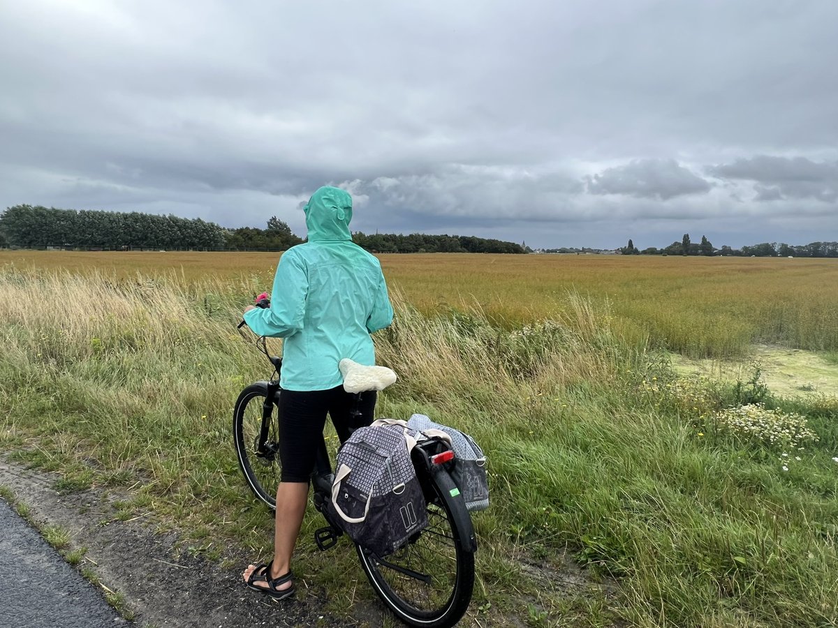 KMaesschalck's tweet photo. #vrtweer ☔️ #Slijpe 10u56 https://t.co/eefI0EfrTL