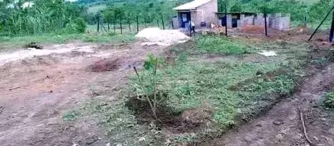 shukranproperty's tweet photo. Deal #yakisubuzi
Plot #50ftx100ft
Price 👉#5millions
Located #Matugga #kiwebwa manze, power on site
For inspection or buying call or WhatsApp 👉+256706592177
Nankulabye najjanankumbi BOBI WINE museven mbarara https://t.co/3RTfZgW2xQ
