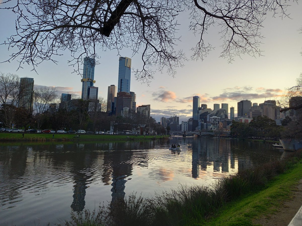 Matteo Bonotti tweet media