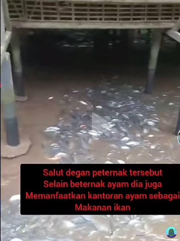 Tanyarl 💚 tweet media