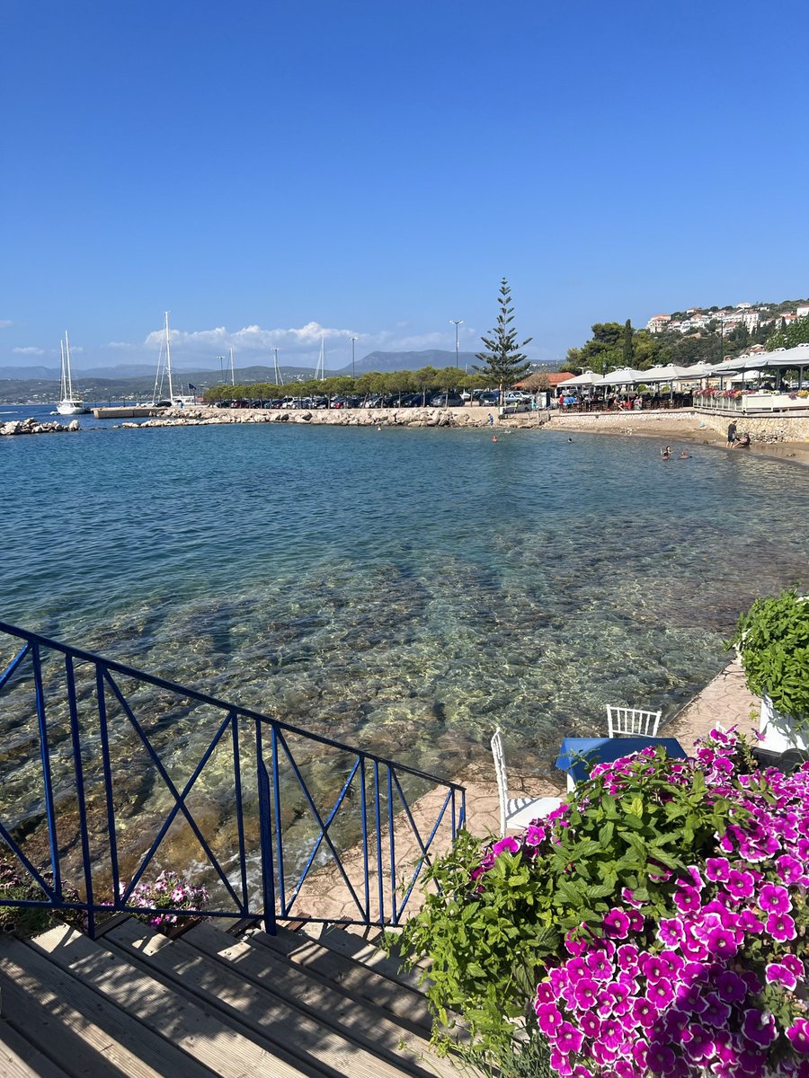 Caio Lima tweet media