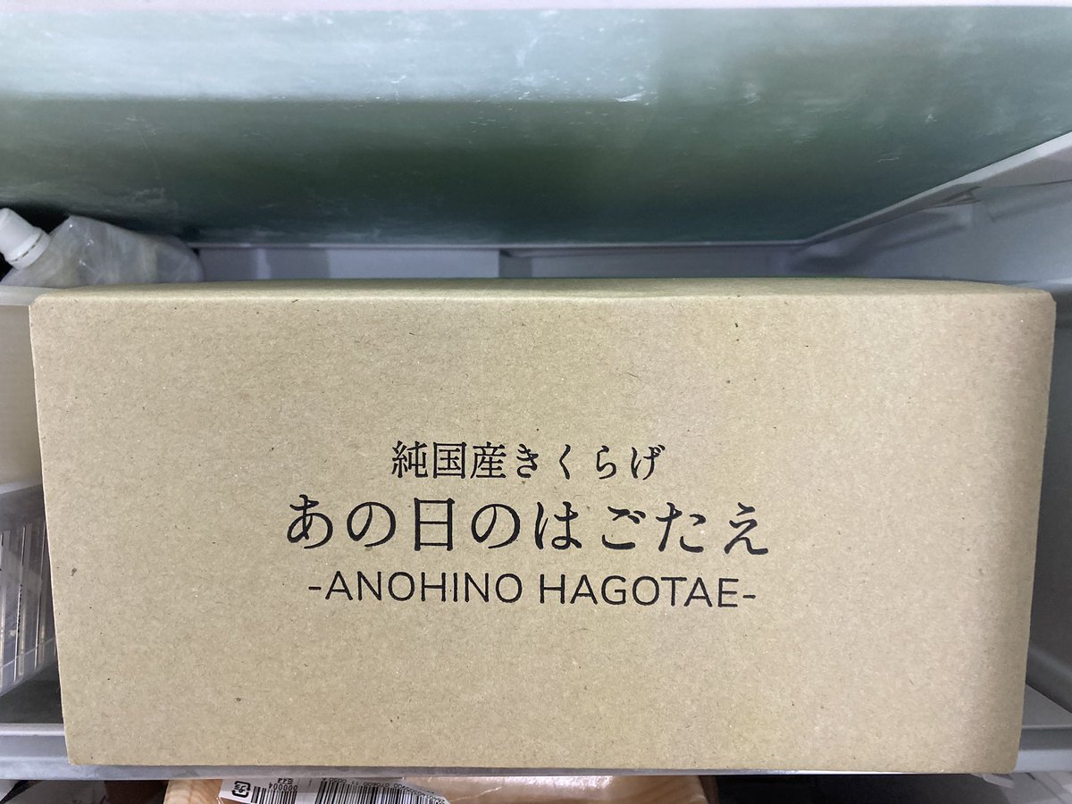 tncayr46's tweet photo. 巷で噂のキクラゲハウスに潜入してきました。家族でダンボール一箱分収穫したのでしばらく我が家の主食はあの日のはごたえになります！キクラゲ収穫体験なんてなかなか出来るものじゃないし良き夏の思い出になると思います。ありがとう！あの日の馬面🐴 https://t.co/XHO7Pfk4or