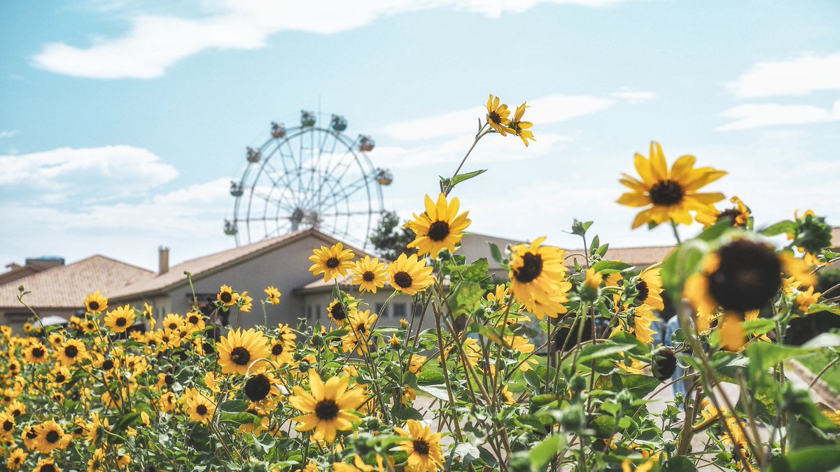 あの夏に戻れるのなら。