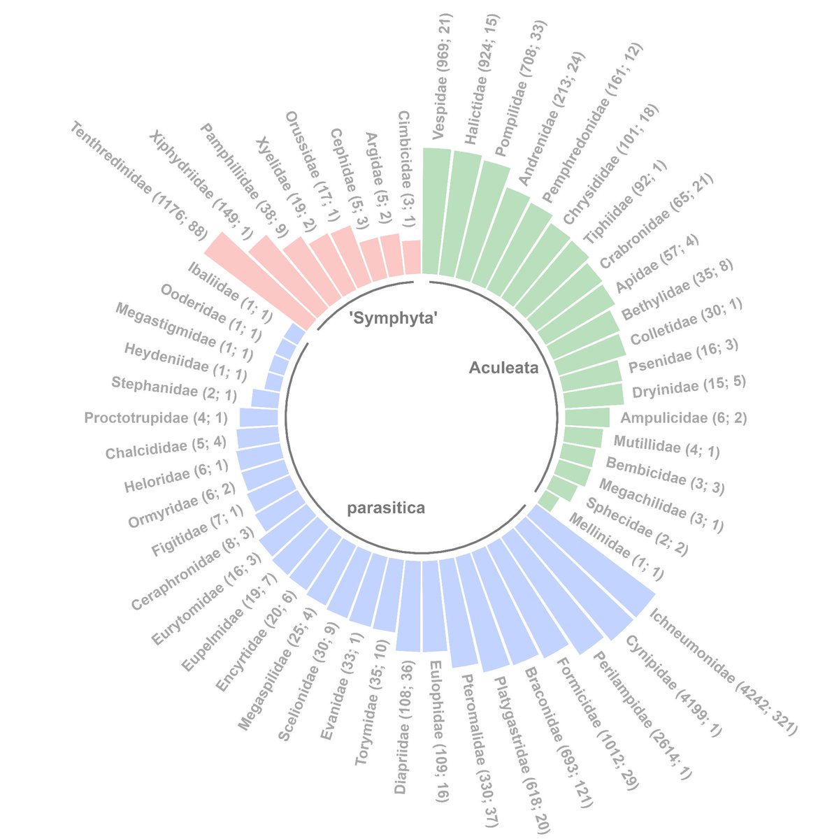 How diverse ! 🐝Hymenoptera take the lead of the race for diversity in temperate oak canopies 🌳. Find out more at doi.org/10.1101/2023.0… - a new publication by @ElodieLeSouchu