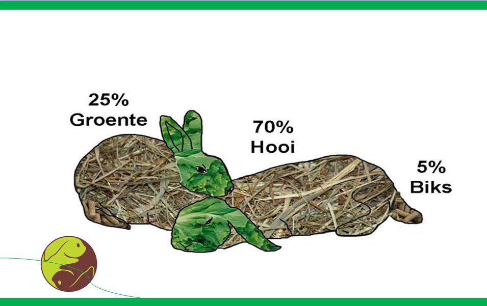 Alleen groenvoer gezond? konijnen-adviesbureau.com/news/alleen-gr… #konijnen #voeding