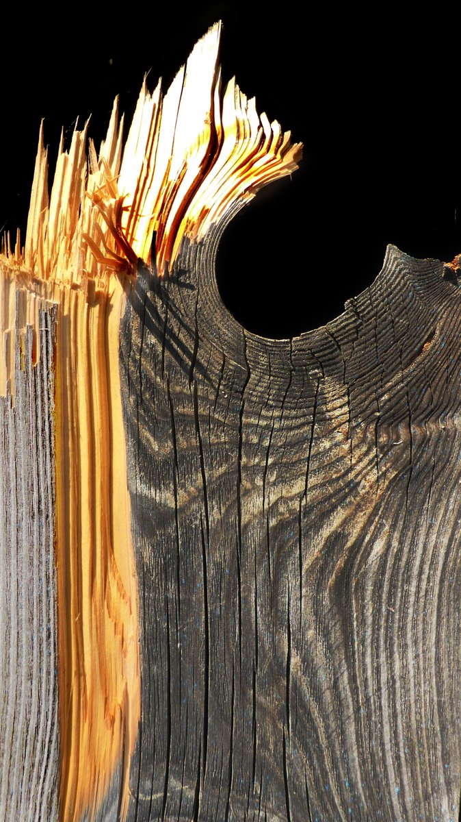 PhotographyCol2 tweet picture