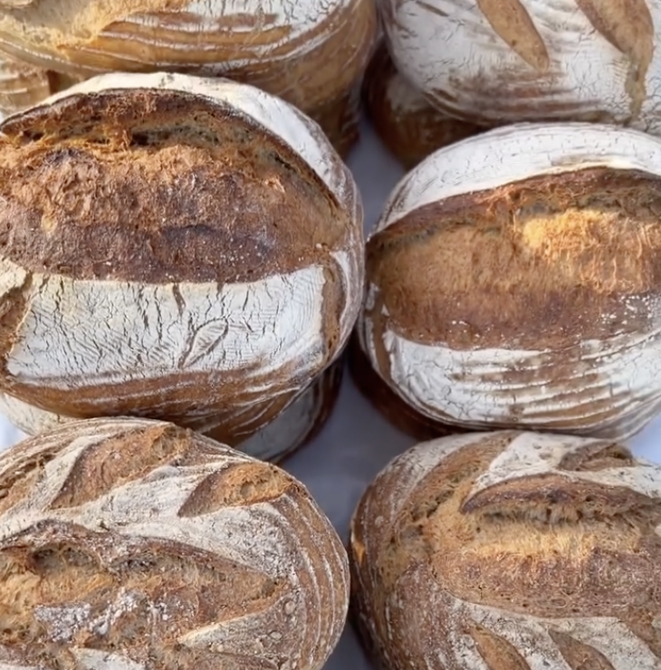 Portobello Schoolyard tweet media