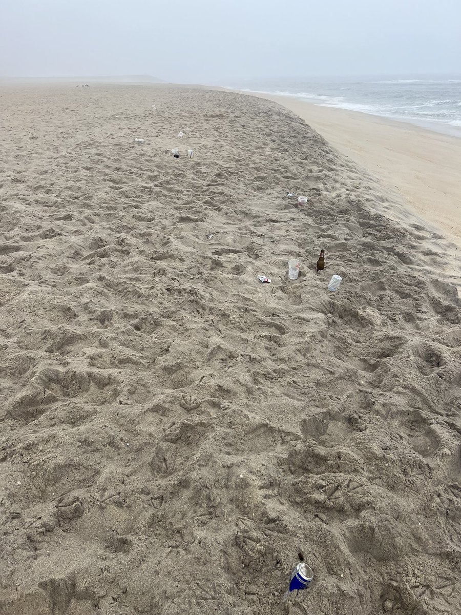 Jornadas Mundiais da Juventude 

Após uma visita da JMJ à praia é isto que encontramos, lixo espalhado por todo o lado. 

Um evento de tamanha dimensão que tem vindo a mudar diversos aspetos no nosso país ao longo desta semana, deveria ter um controlo maior sobre estes aspetos.