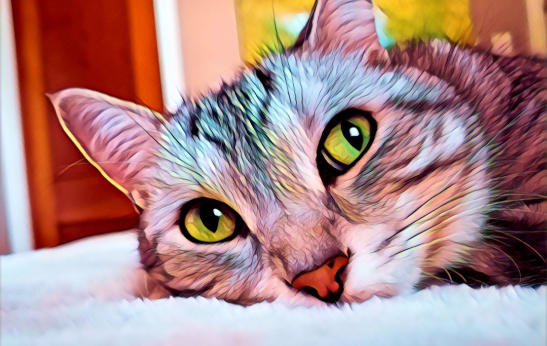 smARTypants_fr's tweet photo. #kittytwitter It's an artsy kind of day. Happy #caturday 💙 https://t.co/OqSxVERSMp