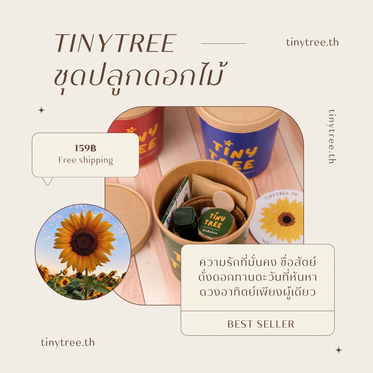 Tinytree.th tweet media