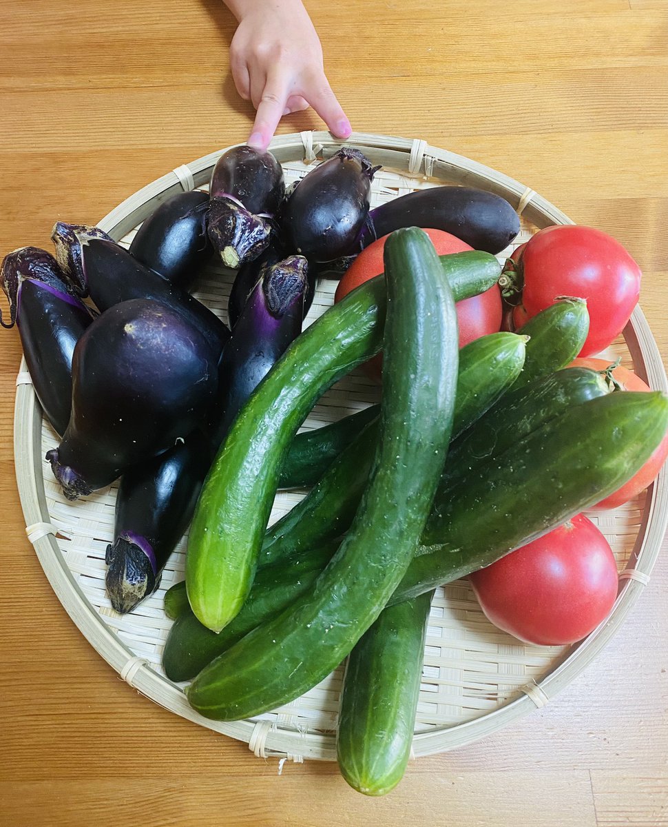 3h4m1's tweet photo. 実家がぴちぴちの夏野菜を送ってくれて、5歳がじぃじにおやさいありがとうと電話をしたら、電話の向こうの76歳の父が孫の中で一番小さな女の子といったい何を話したらいいのかと戸惑いながら「やさい、すきか？」と聞き、5歳が「ぜんぜん！きらい！」と嬉しそうな笑顔で答えてた、そういう夏です。 https://t.co/8AYvQPDI40