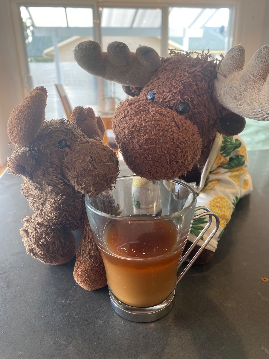 katytownsendvet's tweet photo. Lost precious stuffed toy “Moosie” in bag @HeathrowAirport  in pink/purple kids unicorn backpack at Terminal 2 near @Uber pick up area. Please help unite Moosie with us!!!! #HeathrowAirport #travelwithkids #helpusheathrow #devastateddaughter #answerstoMoosie https://t.co/4IJw4TgbaQ