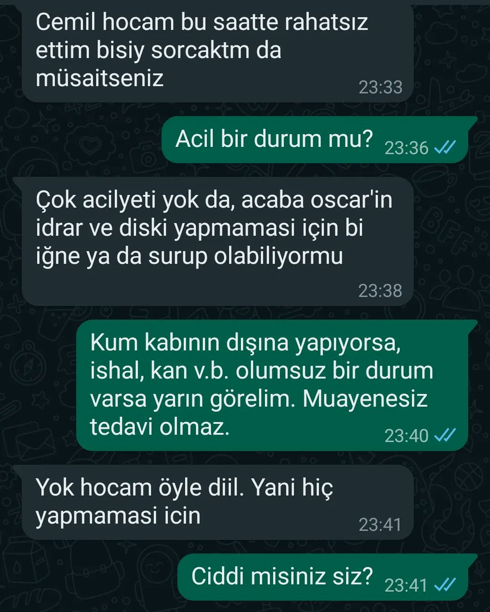 CemilSahince's tweet photo. Bir Veteriner Hekimin gece gece "sıradan" bir whatsapp görüşmesi😀
Alafranga, alaturka v.b. tuvaletler, kanalizasyon sistemleri.Hepsi tarih oluyor. 
AZ SONRA
(Bizlere olan bu sonsuz güven için sevinmeyi tercih ediyorum. Bardağın dolu tarafına bakmak lazım.) İyi ki varsın Oscar 🐱 https://t.co/V2cRSDwdzR