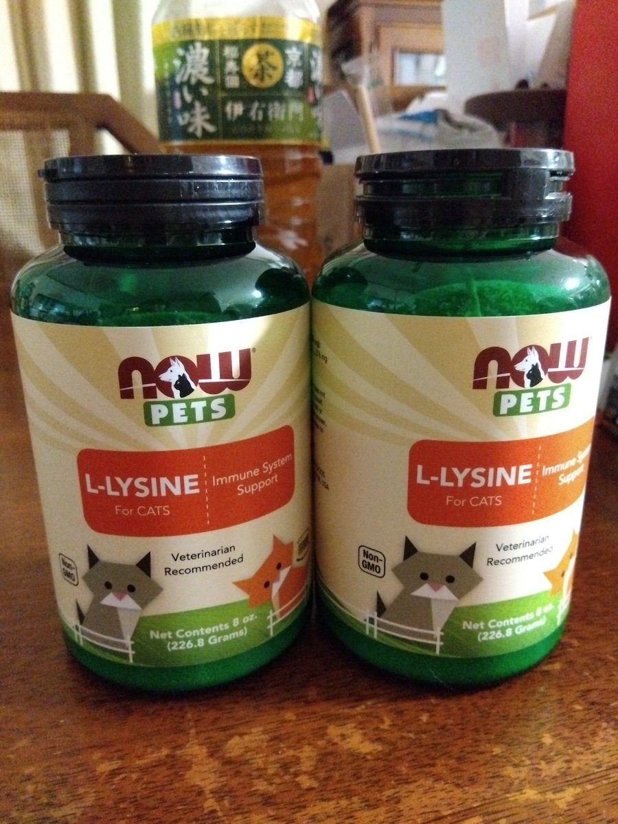 eanNVhPdM8OaAyi's tweet image. 涙を止めるために使ってみる。
#猫
#ねこ
#保護猫
#猫風邪 
#ねこのなみだ 
#リジン
#Ｌリジン