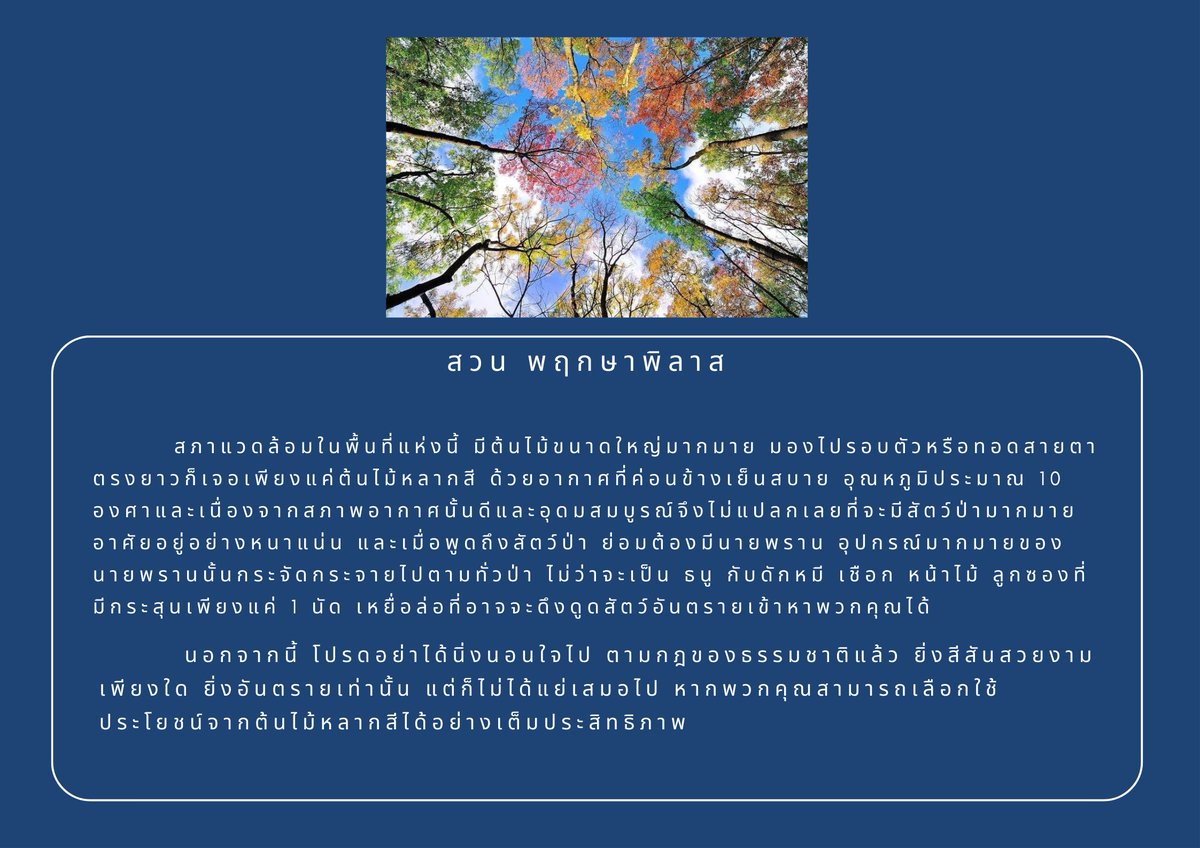 SKUNIVEROFF's tweet photo. ⚠️ สถานที่ที่ถูกเลือกคือ " สวน พฤกษาพิลาส "

สภาพอากาศของคุณเปลี่ยนแปลงไปหลังจากเข้ามาเหยียบในพื้นที่ของสนามการแข่งขัน เสียงสัญญาณดังขึ้น คุณสามารถเริ่มการแข่งขันได้

เทิร์นการตอบ 

@sk_8tsvq 
@skfxny 
@MX011FX 
@SK_DDKLC 

หลังจากจบเทิร์นคนสุดท้าย อย่าลืมแท็ก @SKUNIVEROFF https://t.co/4cmByIyFK0