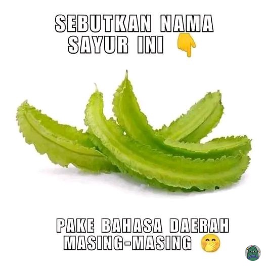 Tanyarlfes tweet media