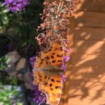 Photo by Beaconsfield School of Education (@BeaconsfieldSOE)