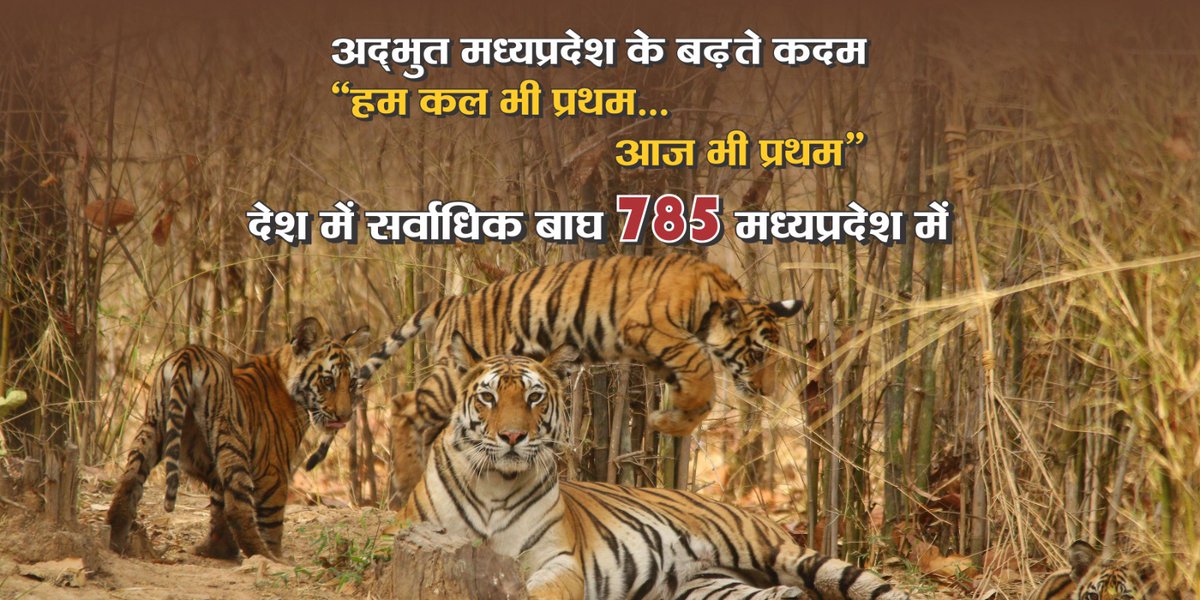 Chief Minister, MP (@cmmadhyapradesh) on Twitter photo рдЕрддреНрдпрдВрдд рд╣рд░реНрд╖ рдХреА рдмрд╛рдд рд╣реИ рдХрд┐ рд╣рдорд╛рд░реЗ рдкреНрд░рджреЗрд╢рд╡рд╛рд╕рд┐рдпреЛрдВ рдХреЗ рд╕рд╣рдпреЛрдЧ рдФрд░ рд╡рди рд╡рд┐рднрд╛рдЧ рдХреЗ рдЕрдердХ рдкреНрд░рдпрд╛рд╕реЛрдВ рдХреЗ рдлрд▓рд╕реНрд╡рд░реВрдк, рдЪрд╛рд░ рд╡рд░реНрд╖реЛрдВ рдореЗрдВ рд╣рдорд╛рд░реЗ рдкреНрд░рджреЗрд╢ рдореЗрдВ рдЬрдВрдЧрд▓ рдХреЗ рд░рд╛рдЬрд╛ рдмрд╛рдШреЛрдВ рдХреА рд╕рдВрдЦреНрдпрд╛ 526 рд╕реЗ рдмрдврд╝рдХрд░ 785 рд╣реЛ рдЧрдИ рд╣реИред
рдореИрдВ рдкреВрд░реЗ рдкреНрд░рджреЗрд╢ рдХреА рдЬрдирддрд╛ рдХреЛ, рд╡рди рдПрд╡рдВ рд╡рдиреНрдпрдкреНрд░рд╛рдгрд┐рдпреЛрдВ рдХреЗ рд╕рдВрд░рдХреНрд╖рдг рдореЗрдВ рдЙрдирдХреЗ рд╕рд╣рдпреЛрдЧ рдХреЗ рд▓рд┐рдП рд╣реГрджрдп рд╕реЗ рдЕрддреНрдпрдВрдд рд╣рд░реНрд╖ рдХреА рдмрд╛рдд рд╣реИ рдХрд┐ рд╣рдорд╛рд░реЗ рдкреНрд░рджреЗрд╢рд╡рд╛рд╕рд┐рдпреЛрдВ рдХреЗ рд╕рд╣рдпреЛрдЧ рдФрд░ рд╡рди рд╡рд┐рднрд╛рдЧ рдХреЗ рдЕрдердХ рдкреНрд░рдпрд╛рд╕реЛрдВ рдХреЗ рдлрд▓рд╕реНрд╡рд░реВрдк, рдЪрд╛рд░ рд╡рд░реНрд╖реЛрдВ рдореЗрдВ рд╣рдорд╛рд░реЗ рдкреНрд░рджреЗрд╢ рдореЗрдВ рдЬрдВрдЧрд▓ рдХреЗ рд░рд╛рдЬрд╛ рдмрд╛рдШреЛрдВ рдХреА рд╕рдВрдЦреНрдпрд╛ 526 рд╕реЗ рдмрдврд╝рдХрд░ 785 рд╣реЛ рдЧрдИ рд╣реИред
рдореИрдВ рдкреВрд░реЗ рдкреНрд░рджреЗрд╢ рдХреА рдЬрдирддрд╛ рдХреЛ, рд╡рди рдПрд╡рдВ рд╡рдиреНрдпрдкреНрд░рд╛рдгрд┐рдпреЛрдВ рдХреЗ рд╕рдВрд░рдХреНрд╖рдг рдореЗрдВ рдЙрдирдХреЗ рд╕рд╣рдпреЛрдЧ рдХреЗ рд▓рд┐рдП рд╣реГрджрдп рд╕реЗ