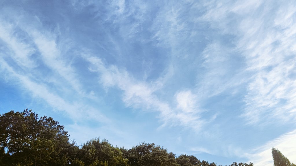 snow60168788's tweet photo. 今日も暑い１日でした。
朝からの用を済ませ、
久々に夕蟬の声でひと息…
#イマソラ
#空のある風景
#夏空 https://t.co/IvgsaLsWqn