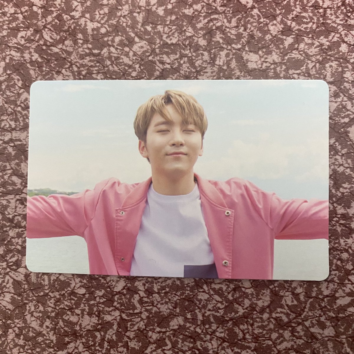xu_hao797's tweet photo. wtt lft ph svt 

have: seungkwan (from rereleased) 
want: dk

pauwiin niyo na po sakin si seokmin jebal 😭

wtt lft seventeen teenage green dk seungkwan batangas https://t.co/u8BQHeeWPw