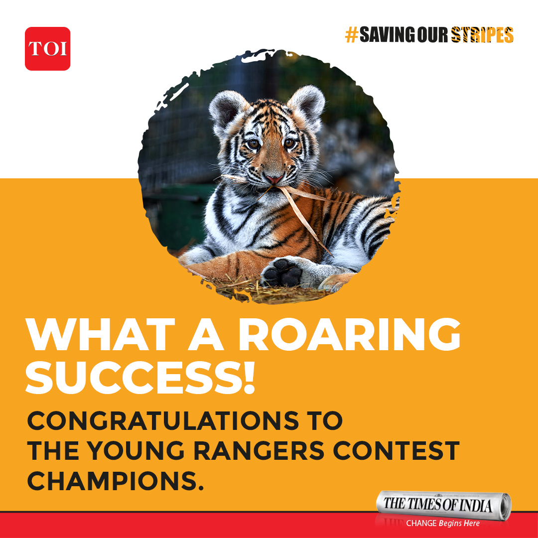 Join us in congratulating the winners of the Young Rangers contest! Visit #savingourstripes website to see if your name shines among these exceptional Young Rangers.

Click here bit.ly/44Lw9Aq

#SavingourStripes #tigers #conservation #projecttiger #tigers #forest