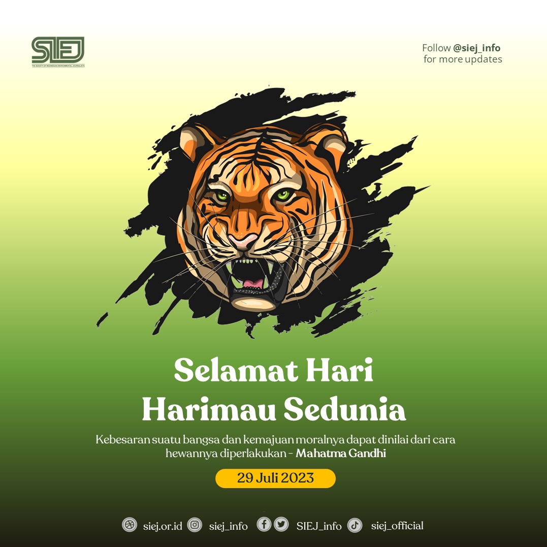 SIEJ_info's tweet photo. Selamat Hari Harimau Sedunia
Harimau sedang menghadapi risiko kepunahan di alam liar. Sekitar seabad yang lalu, ada 100 ribu harimau yang berkeliar bebas di alam liar benua Asia, namun sekarang hanya tersisa 4 persen saja.
#hariharimausedunia #TigerDay #JurnalisLingkungan #SIEJ https://t.co/sAi4cxJWuG