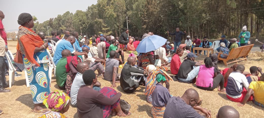 SHYOGWE Sector tweet media