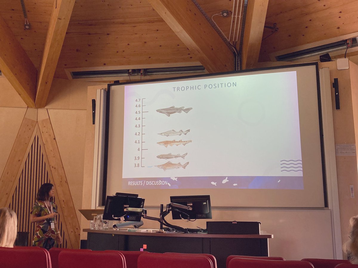 cakloecker's tweet image. What a finish @fsbi2023 with sessions on food 🕸️, ONE Health and 🐠connectivity with amazing talks about the tropic ecology of deep water 🦈, thiamine deficiency, the importance of parasites and the value of multi-method approaches to study connectivity patterns.Thanks #FSBI2023!