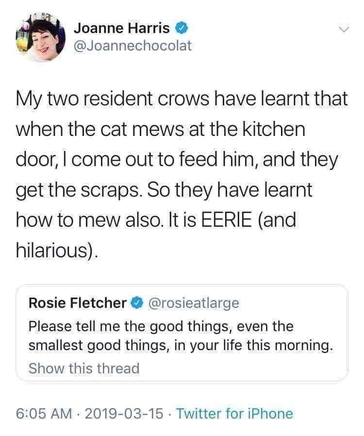 WholesomeMeme's tweet photo. Original tweet by JoanneChocolat @JoanneChocolat https://t.co/oVAlWmRqlJ