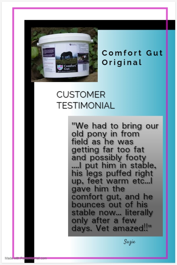 Competition, FEI and RaceLegal. Will NOT show in bloods
Used and trusted by International Riders Worldwide #onlythebest #equinehour #horsehour #comfortgut #horsesupplements #equinegastriculcers #equinegastroscope #equinegastriculcersyndrome #equineulcerrelief #horseulcerssymptoms