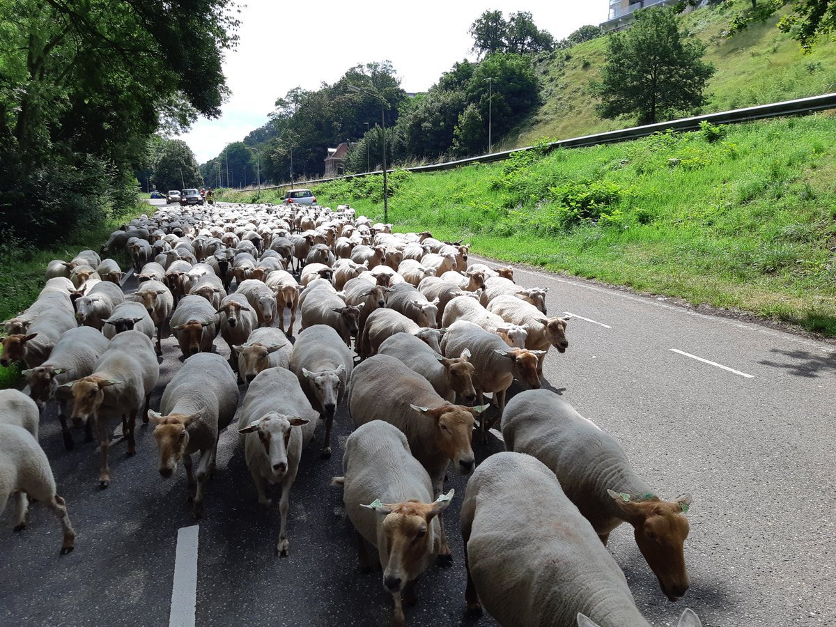 Bijna op Waalkade <a href="/nieuwsuit024/">Nieuws uit Nijmegen</a> <a href="/thedmaasDG/">thed maas</a> <a href="/DGRijkvNijmegen/">DG Rijk van Nijmegen</a>
