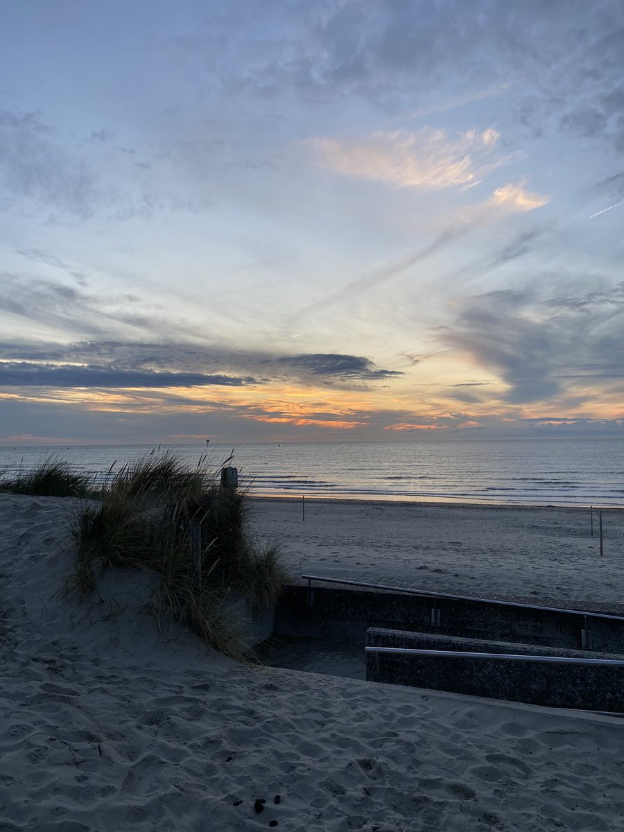 Local Merida (@jonckheere_lena) on Twitter photo 