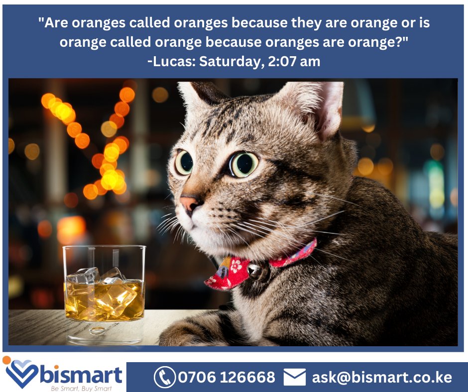 There are no dumb questions; there are just people with below-average intelligence asking fundamental questions we don’t know the answers to.

Bismart Insurance has all the right answers.

Visit us at bismart.co.ke

#MasculinitySaturday Khaemba Niger #Hacked