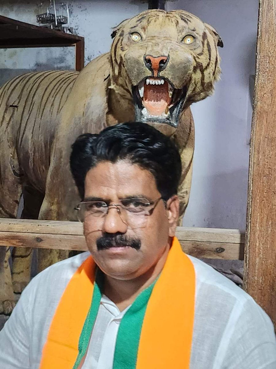 ವಿಶ್ವ ಹುಲಿಗಳ ದಿನದ ಶುಭಾಶಯಗಳು 👍🏻