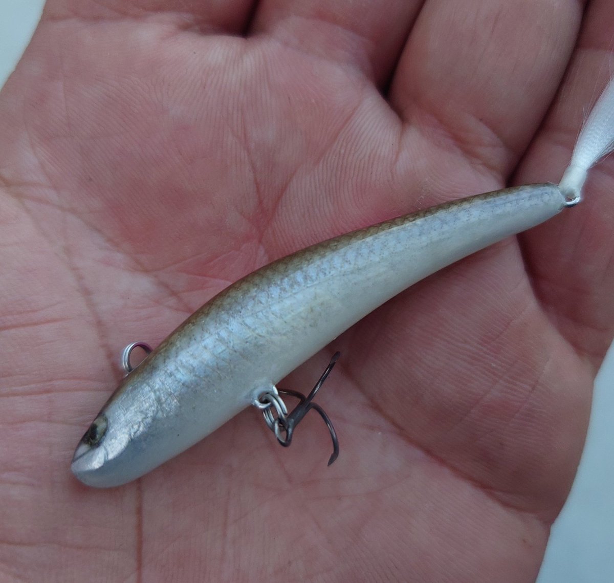 YuYuYujiFTK56's tweet photo. 先日の河口湖の表層パターンでナイスネイティブ釣れたismのPULL70F(魚皮)はマジでリアルだよな~🐟✨
#ism
#PULL70F https://t.co/uvytKziQzN
