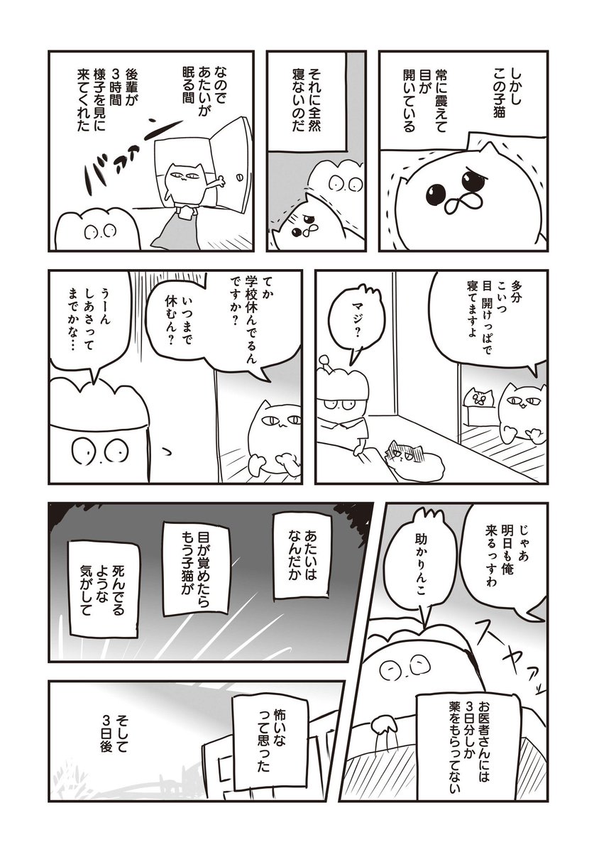 死にかけの猫を拾った話(3/3)