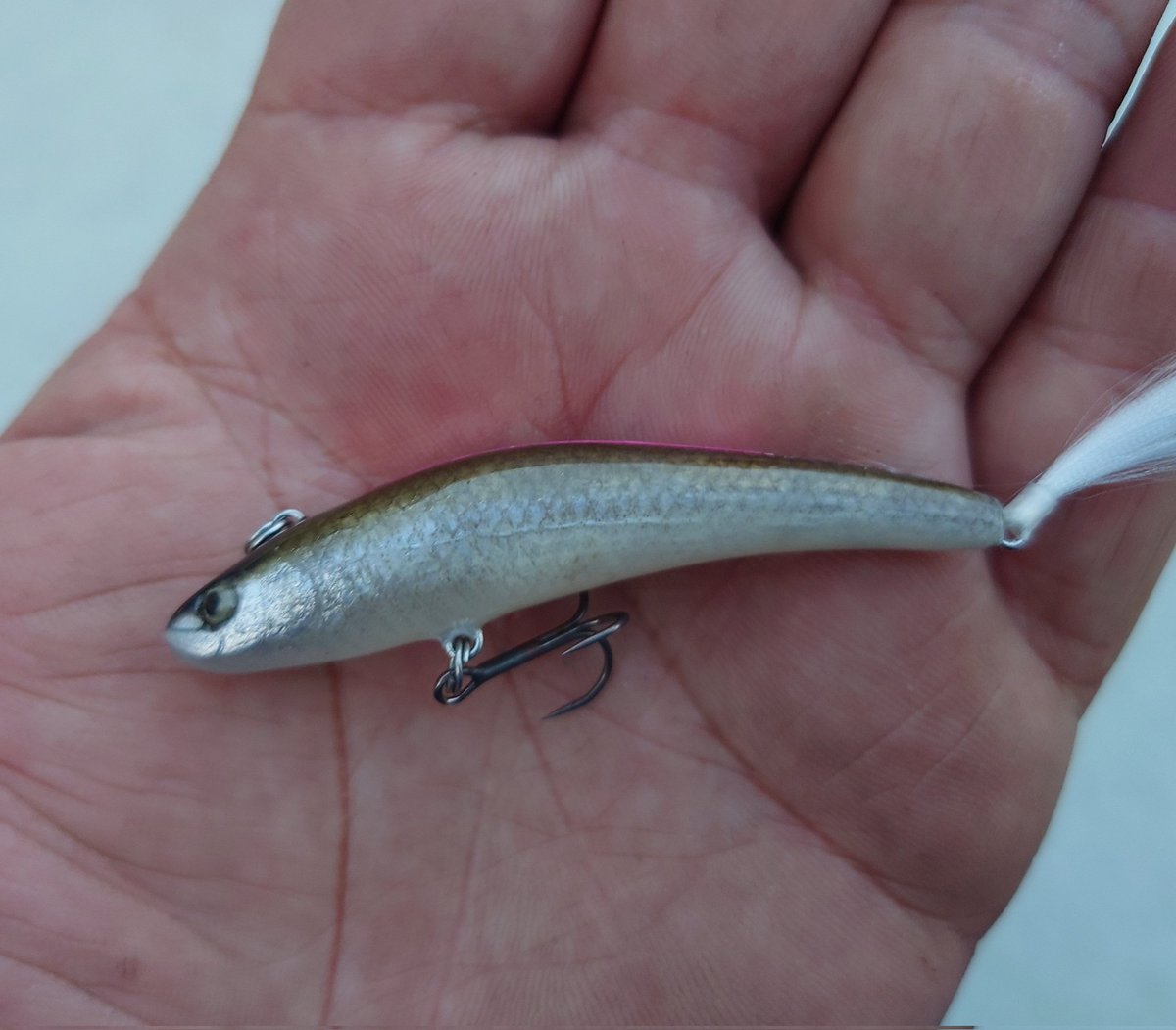 YuYuYujiFTK56's tweet photo. 先日の河口湖の表層パターンでナイスネイティブ釣れたismのPULL70F(魚皮)はマジでリアルだよな~🐟✨
#ism
#PULL70F https://t.co/uvytKziQzN