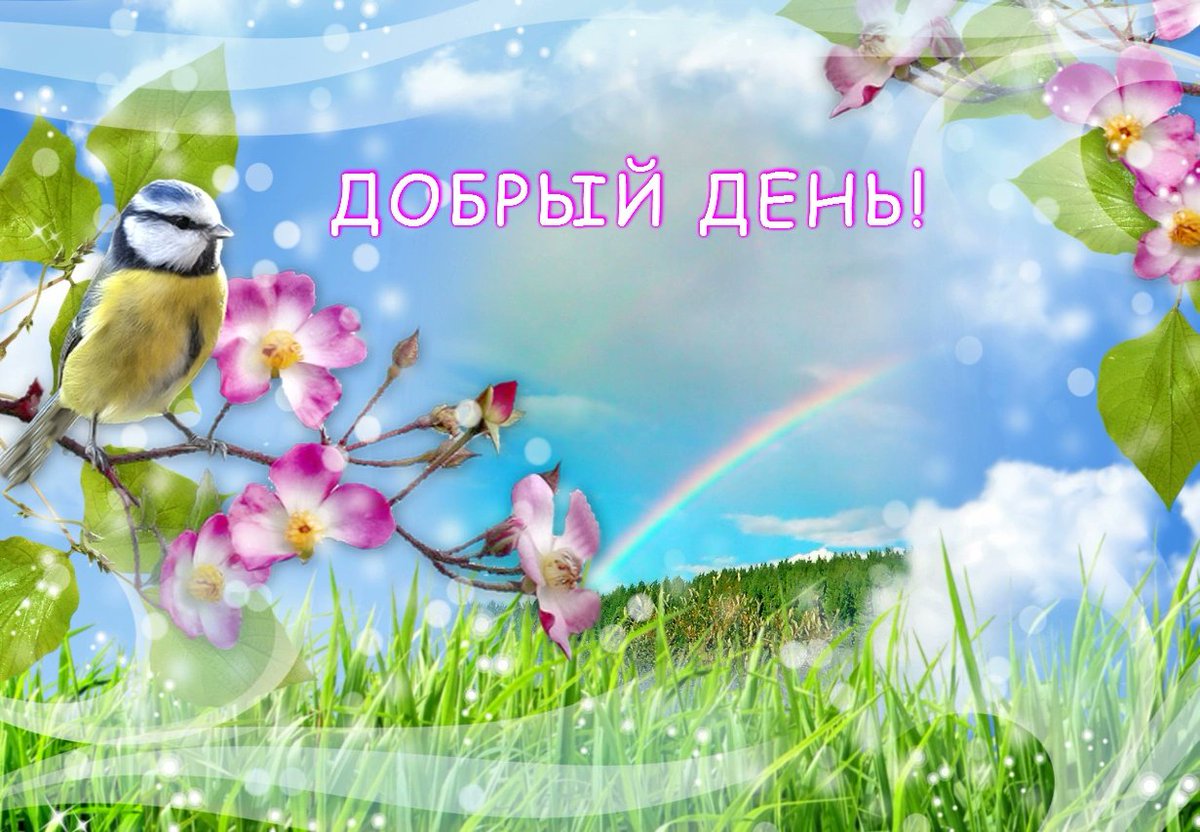 Nikola7417's tweet photo. Хорошего дня всем. https://t.co/5H7FZKHZgP