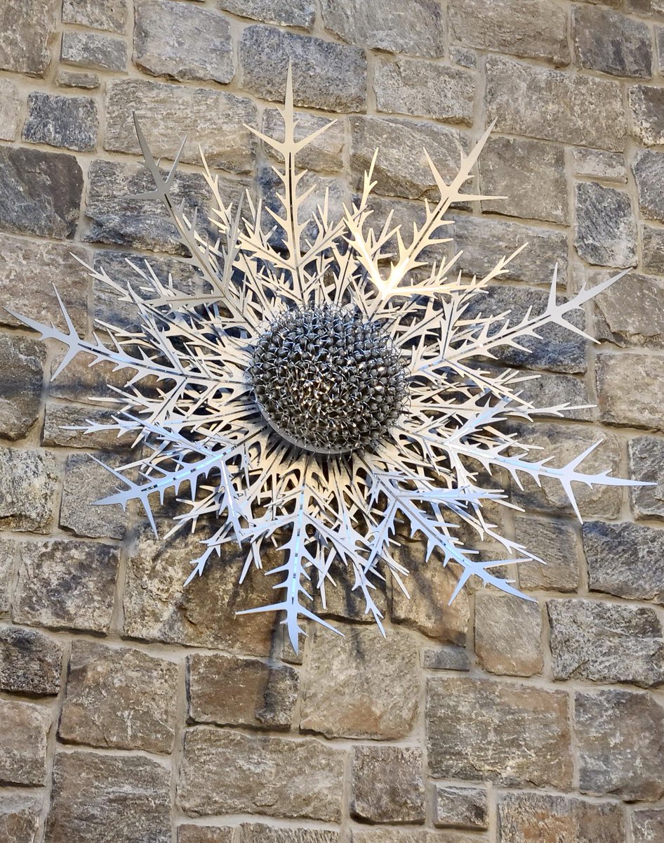 Ruth Moilliet tweet media