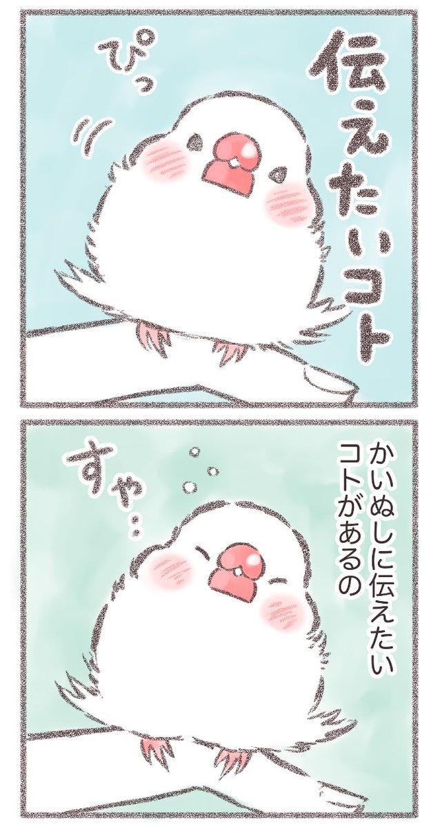 伝えたいコト(1/2)  #文鳥 #漫画が読めるハッシュタグ