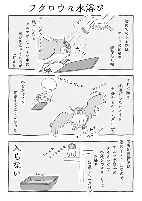 『ふくろうな水浴び』(2/3) #ふくろうな関係 #漫画が読めるハッシュタグ