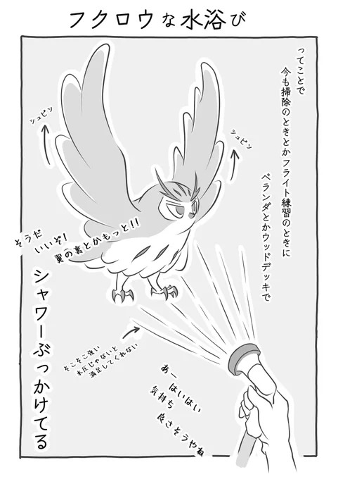 『ふくろうな水浴び』(3/3) #ふくろうな関係 #漫画が読めるハッシュタグ